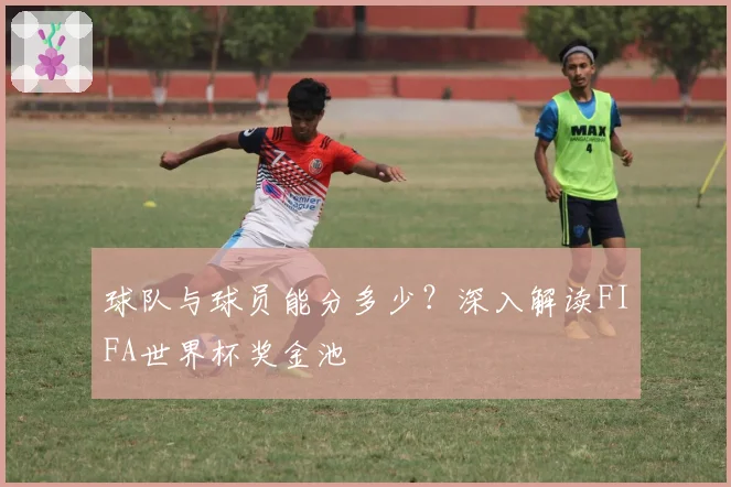 球队与球员能分多少?深入解读FIFA世界杯奖金池