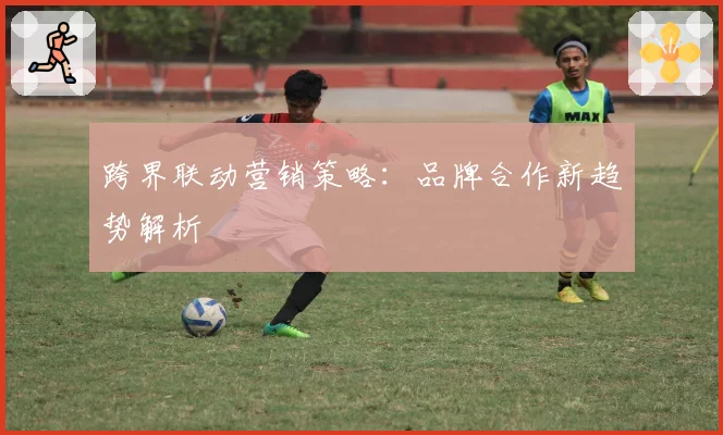 跨界联动营销策略:品牌合作新趋势解析