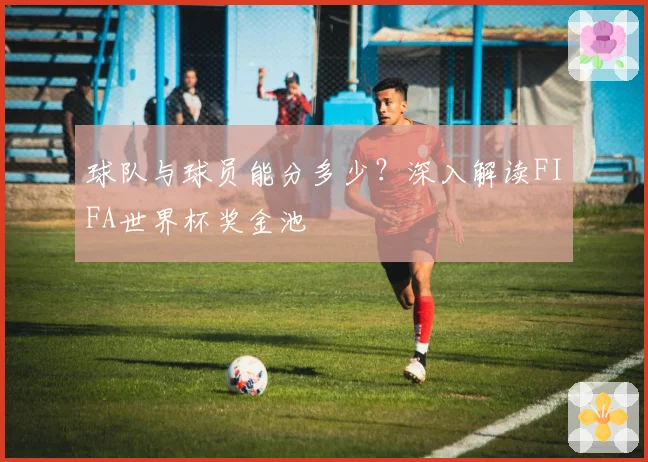 球队与球员能分多少?深入解读FIFA世界杯奖金池