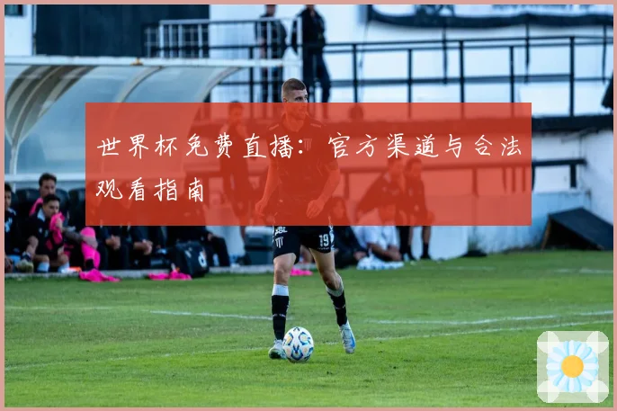 世界杯免费直播：官方渠道与合法观看指南