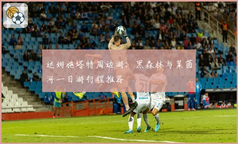 达姆施塔特周边游：黑森林与莱茵河一日游行程推荐